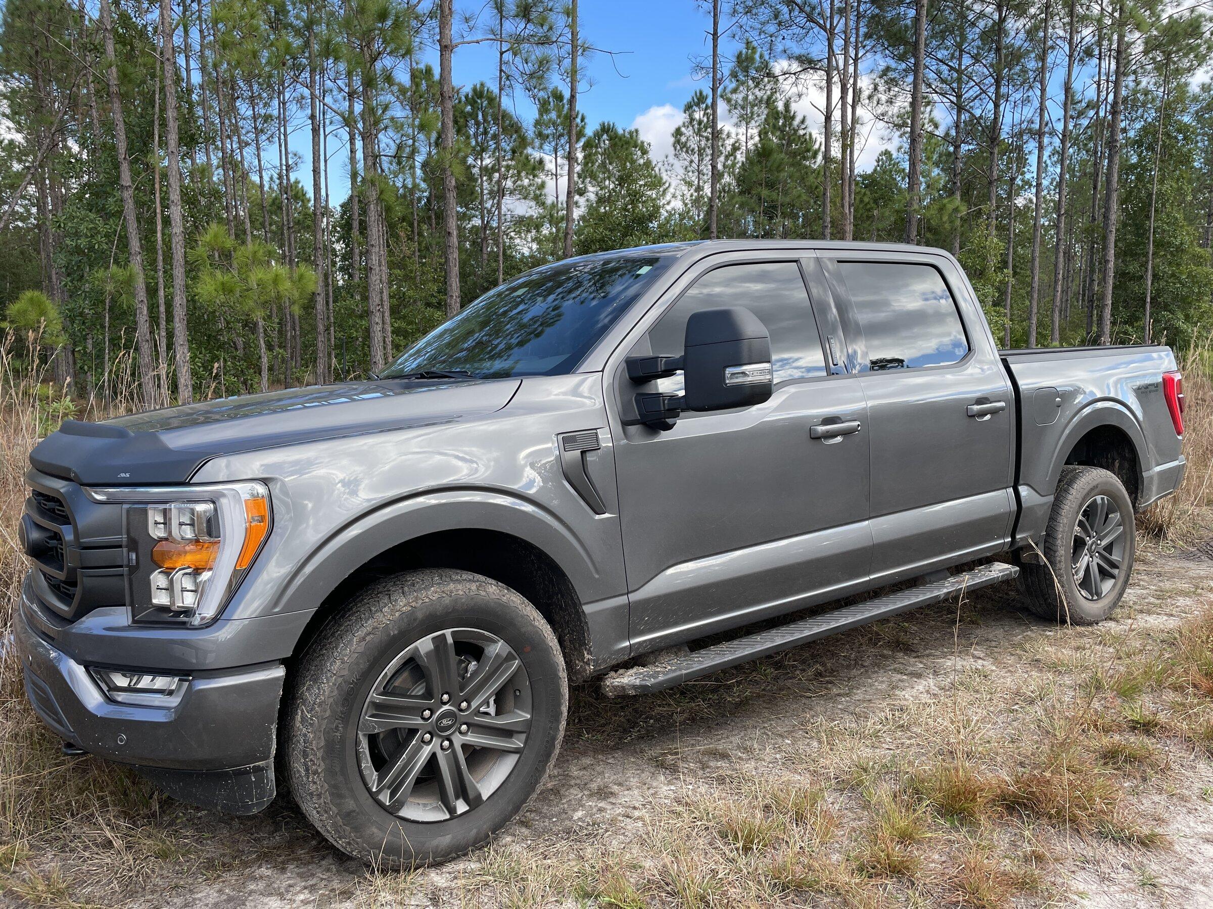 Ford F-150 TInt help! 019F8AB6-984E-400F-8C7D-4D0443CE650D
