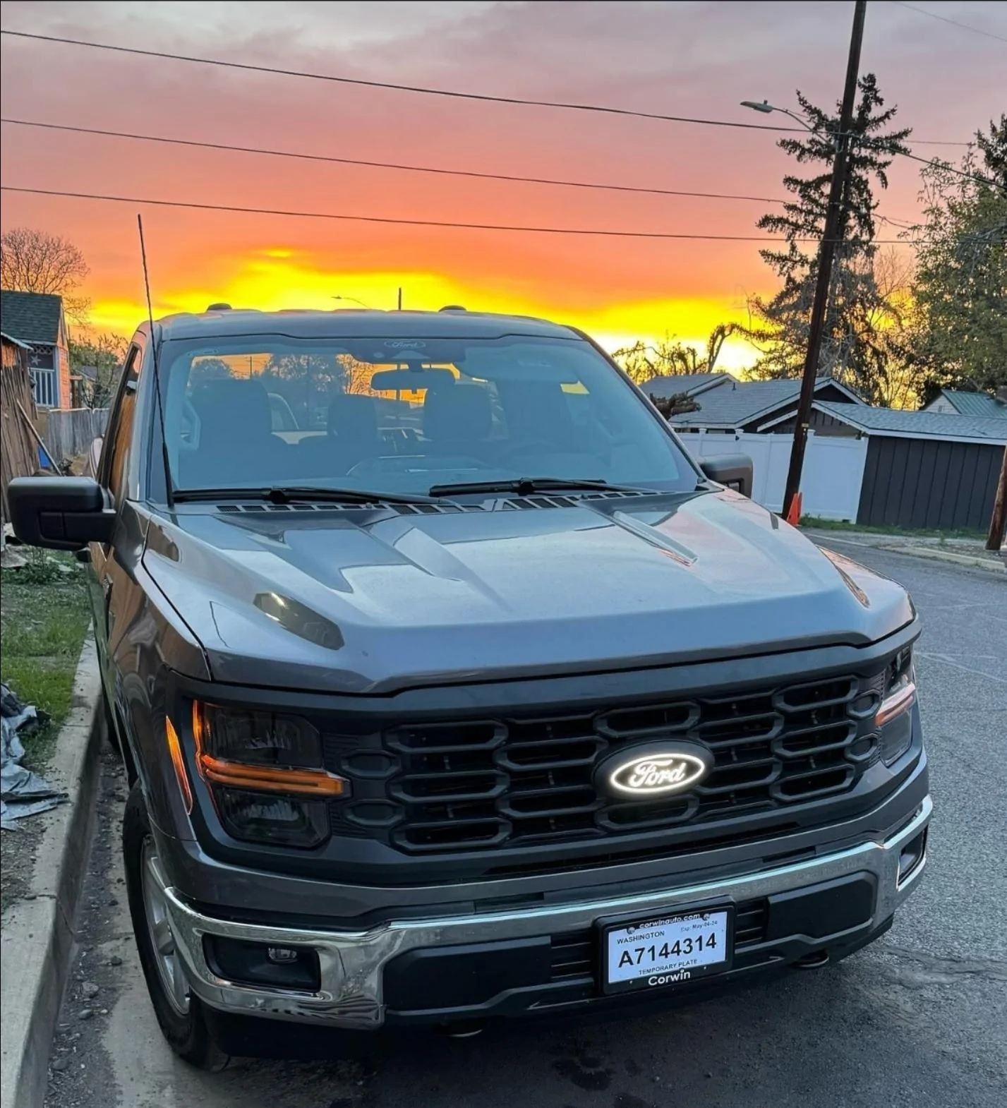 Ford F-150 Illuminated Ford Front Emblem Option 1000001621