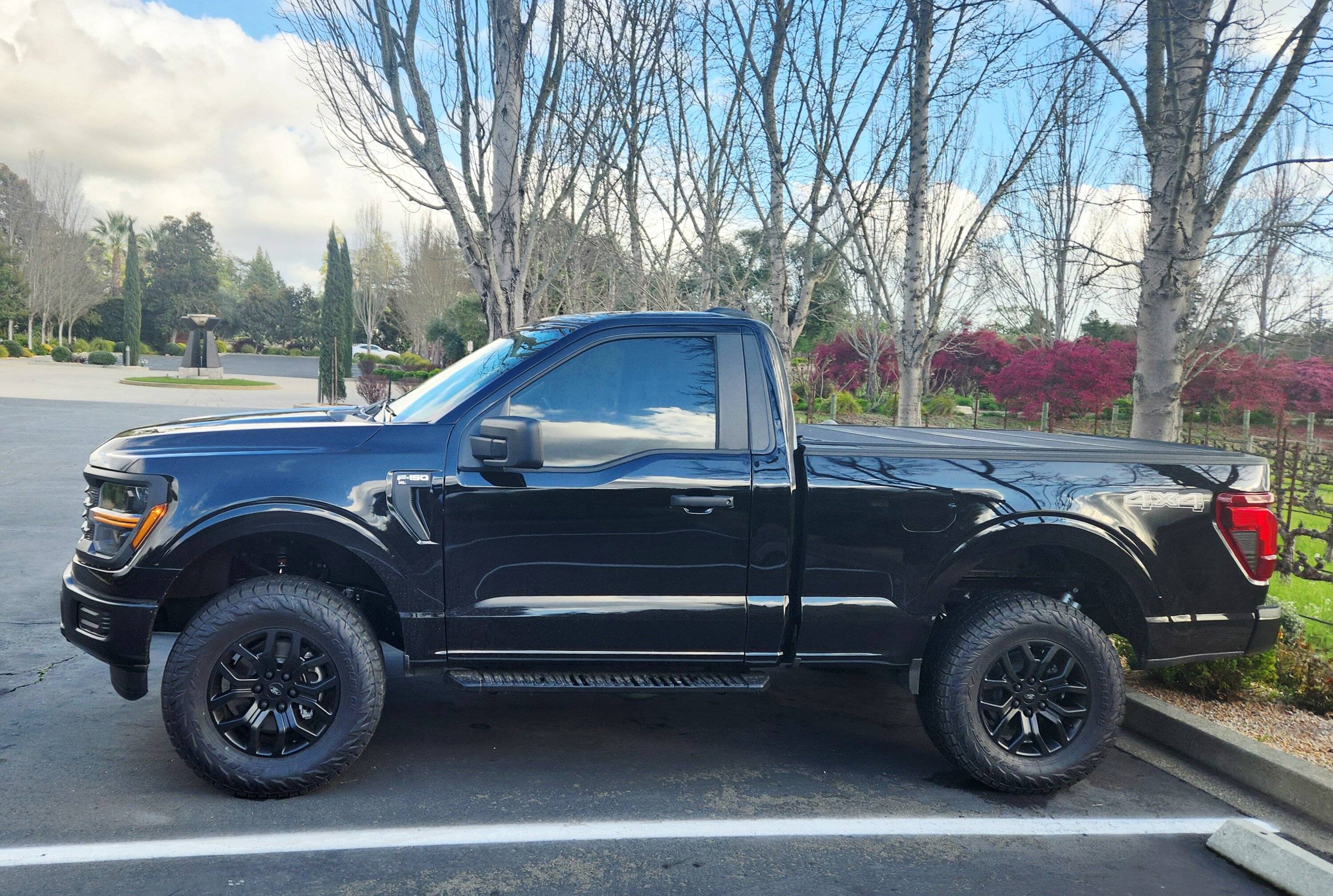 Ford F-150 RCSB "Baby Tremor" 1000003629
