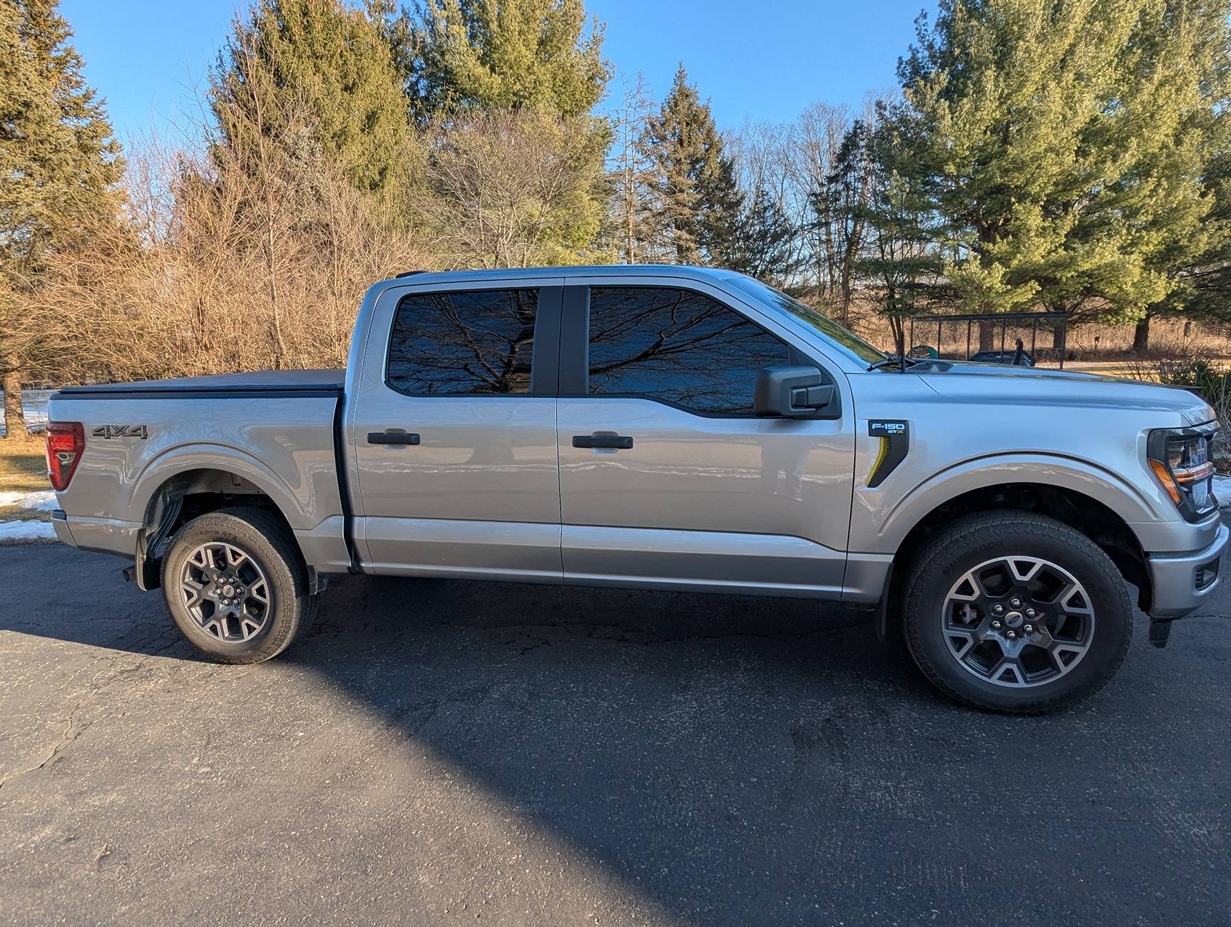 Ford F-150 Post Your Tint Setup! 1000005911