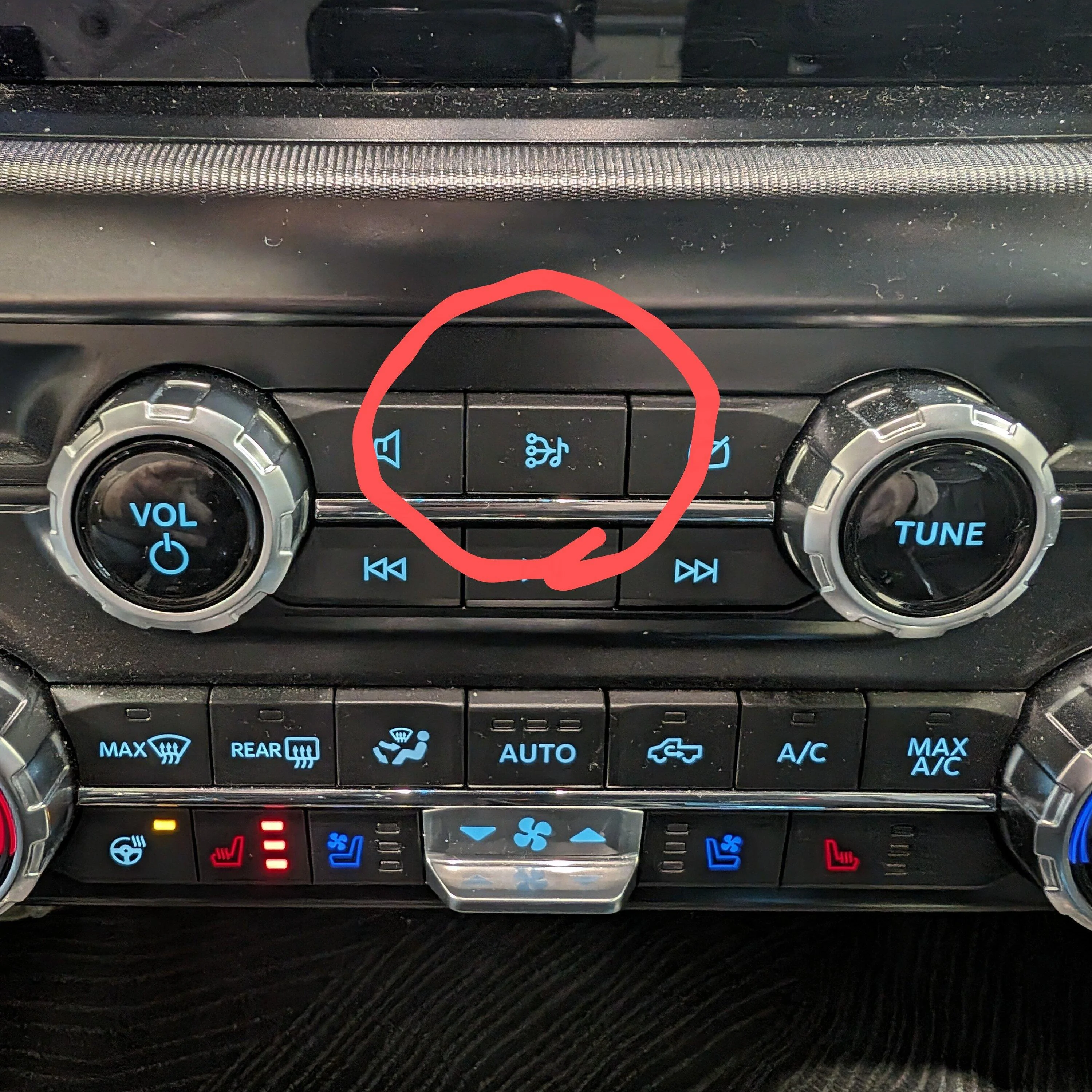 Ford F-150 FORScan -  hiding audio sources? 1000007182