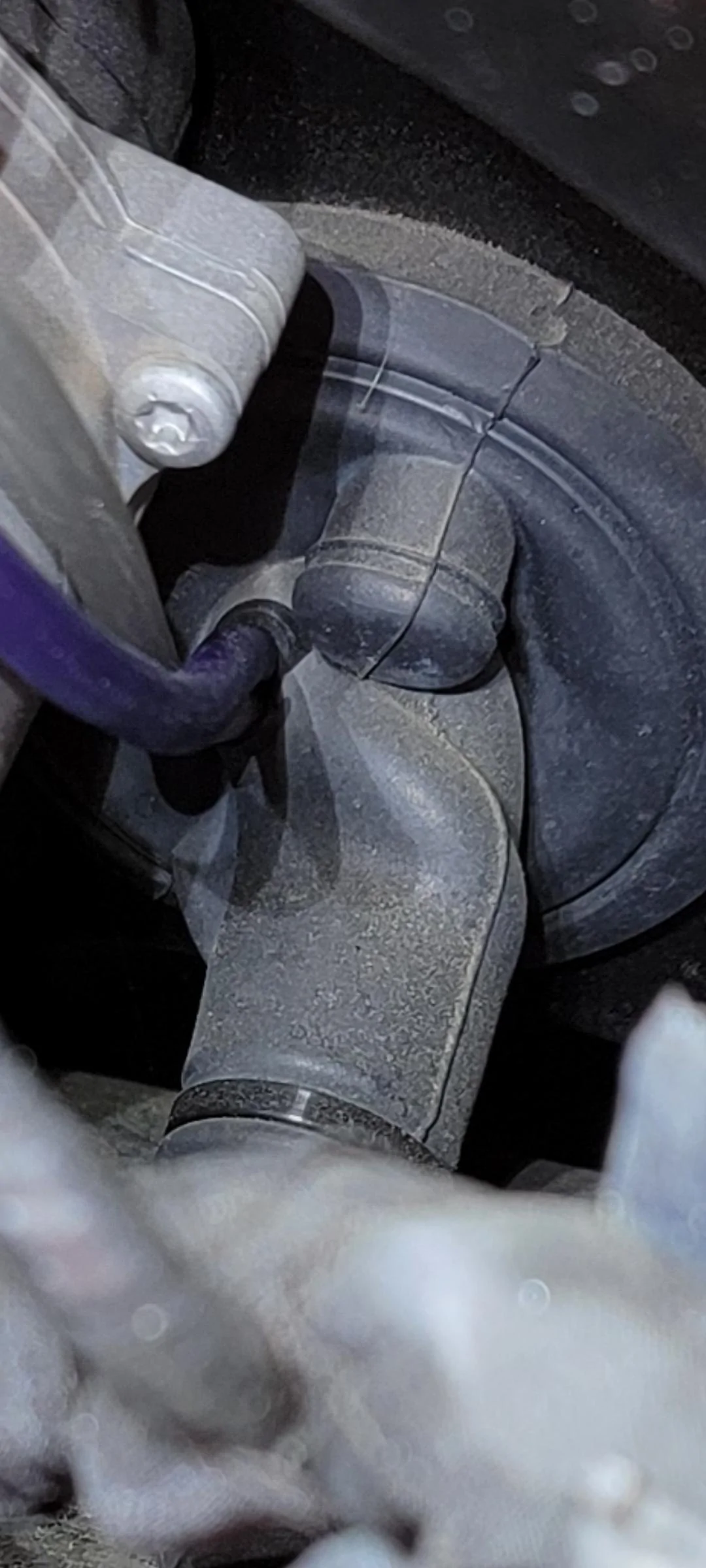 Ford F-150 B&O Unleashed finally fixed for $329? 1000008460