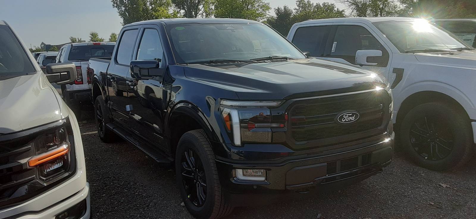 Ford F-150 **2025MY F-150 Order Banks Open 8/26**  2024 F-150 Scheduling This Week (7/25/24) for Production Week 9/2 1000009339