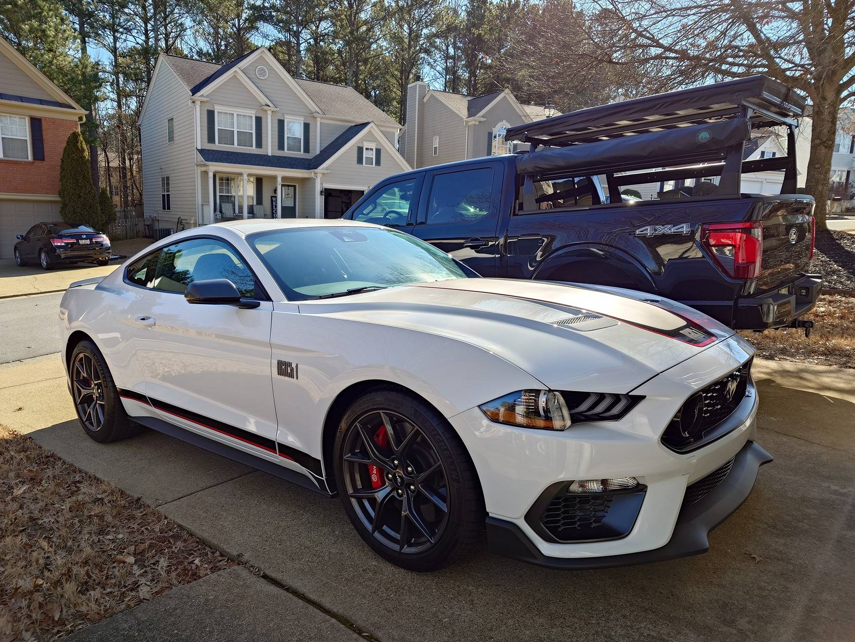 Ford F-150 Color poll 1000010033