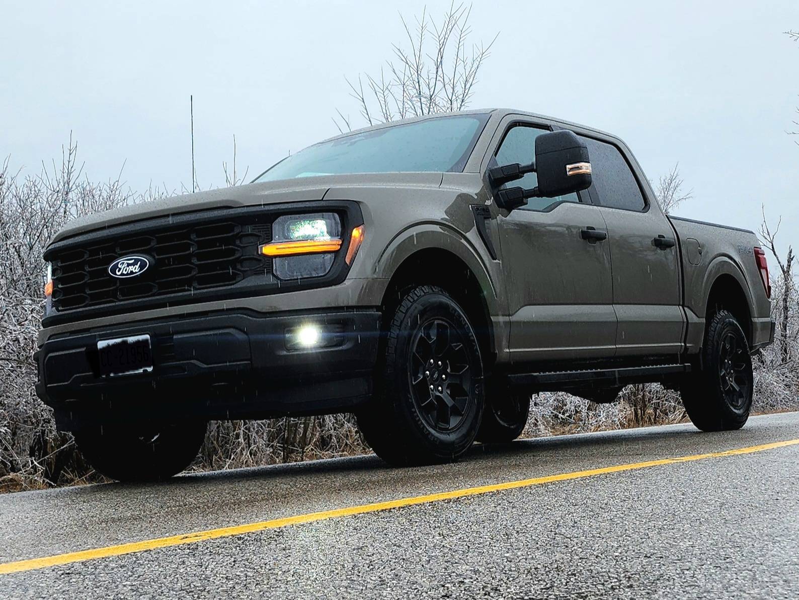 Ford F-150 2025 Marsh Gray? 1000010840