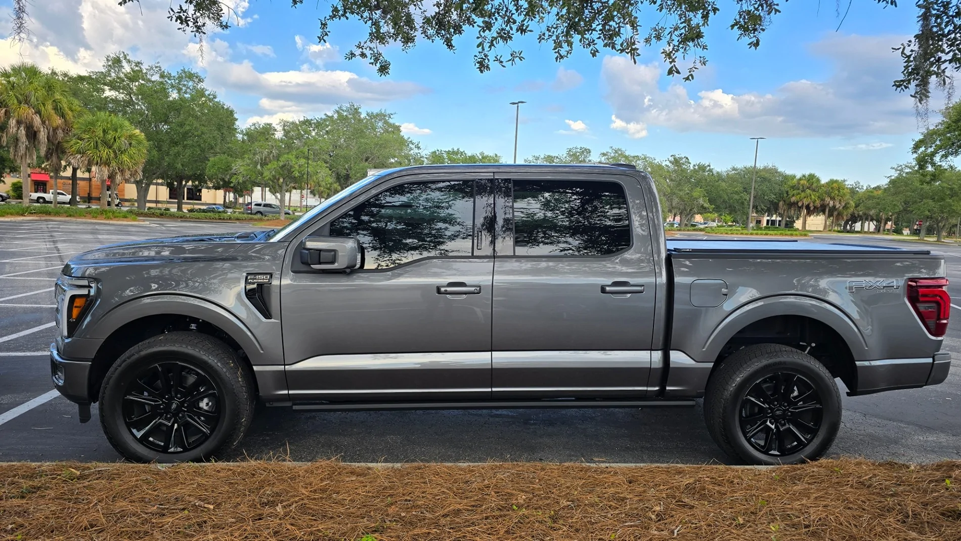 Ford F-150 Antimatter Blue or Carbonized Gray? 1000018743