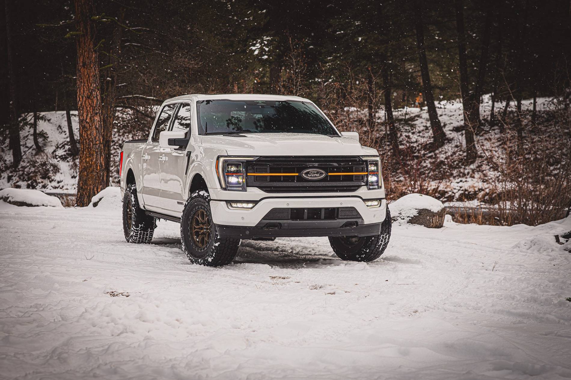 Ford F-150 BAP Black Appearance Package Trucks, POST HERE 1000049763