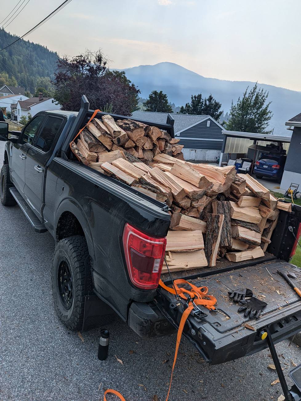 Ford F-150 Firewood gettin 13