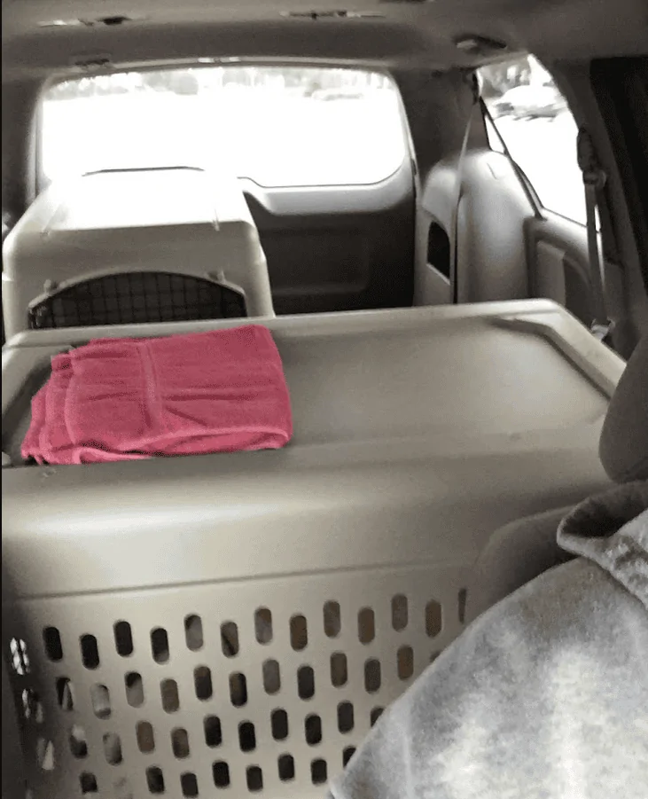 Ford F-150 Measurements requested please 1636383931378