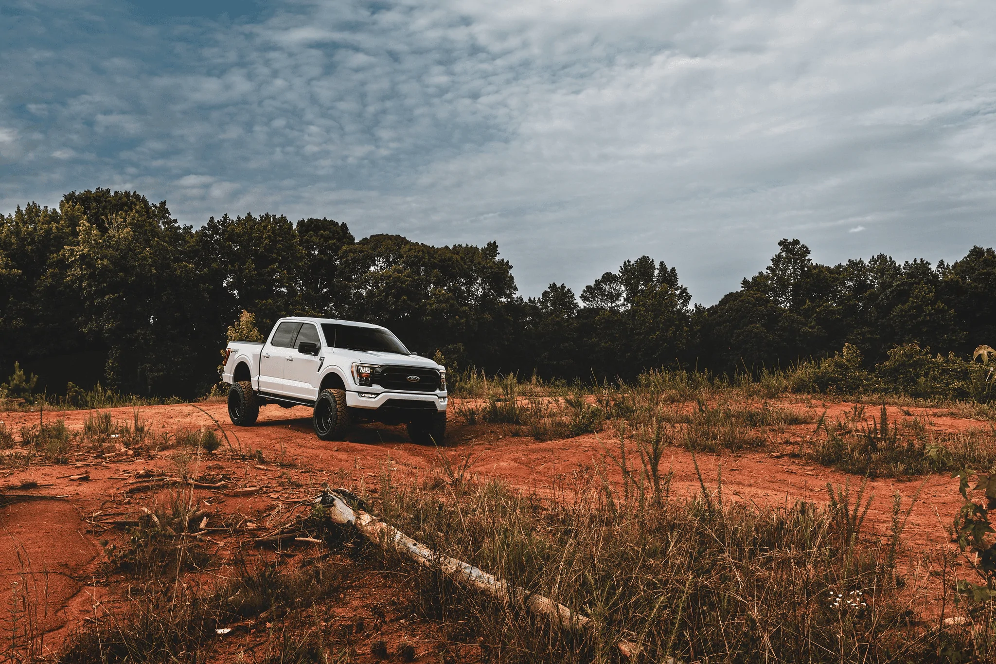 Ford F-150 OXFORD WHITE F-150 (2021+) Club 1656555213245