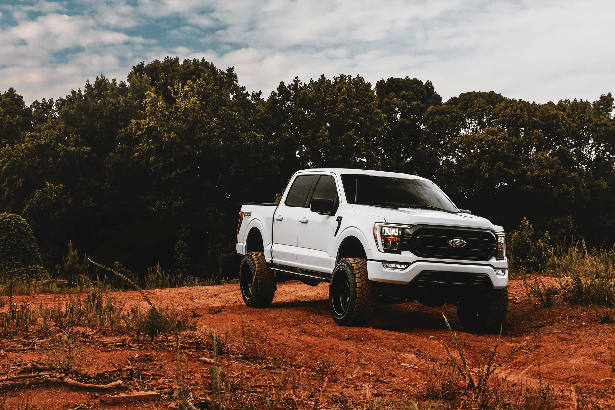 Ford F-150 well, I tried.... 1656995596640