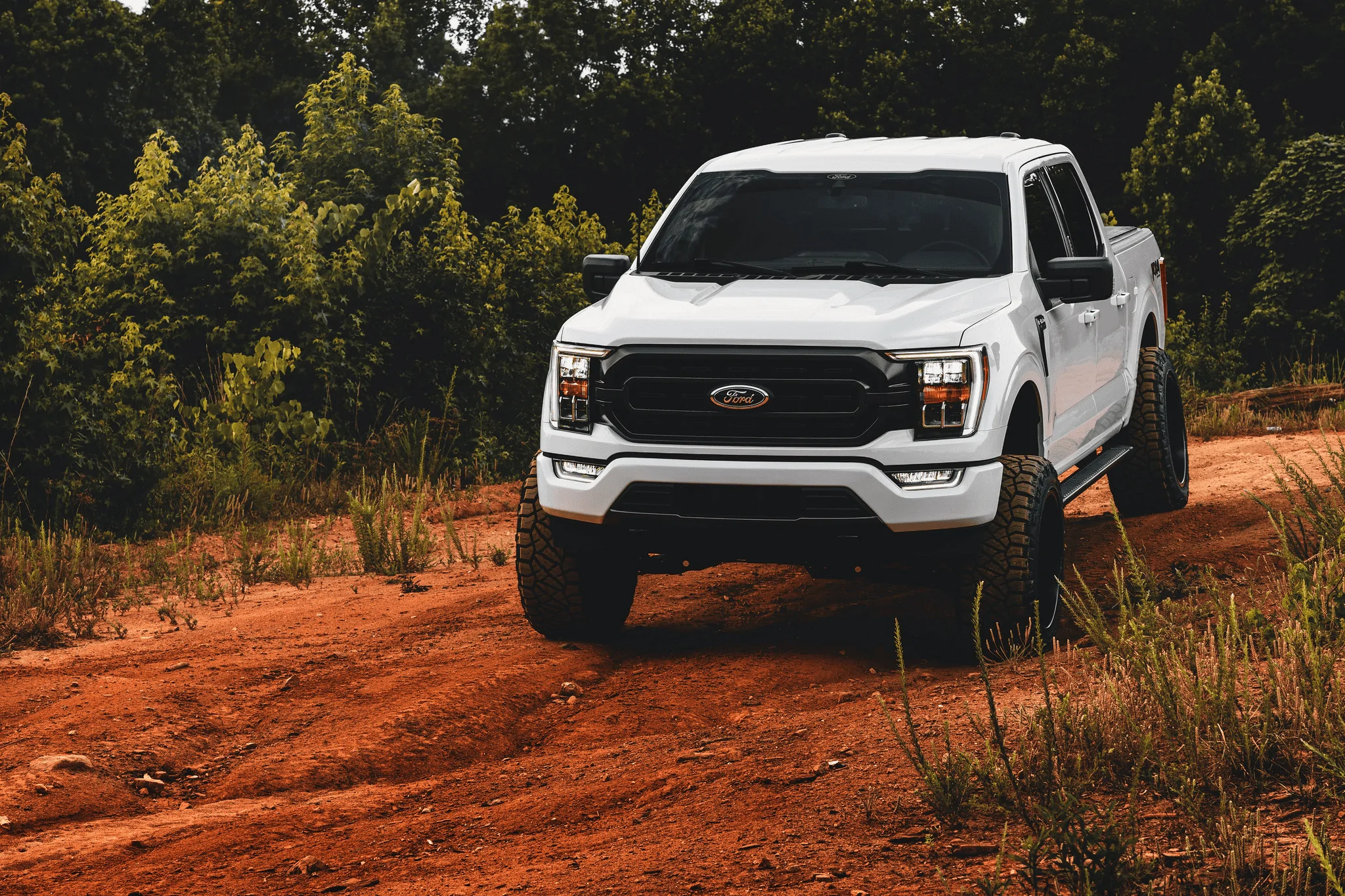 Ford F-150 well, I tried.... 1656995637769