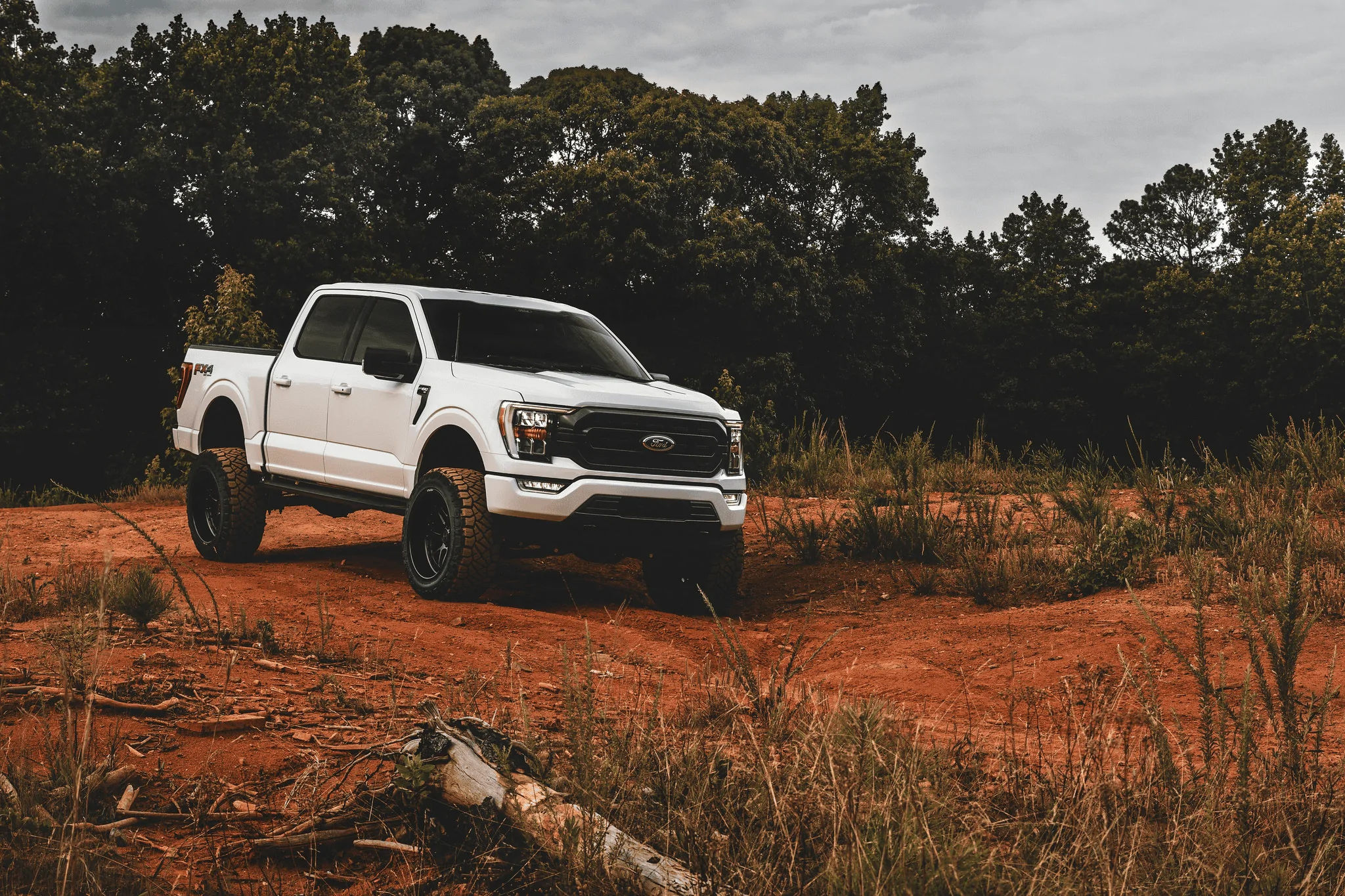 Ford F-150 well, I tried.... 1656996139977