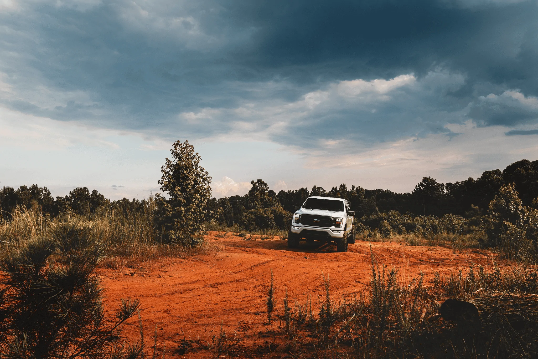 Ford F-150 well, I tried.... 1656996159961