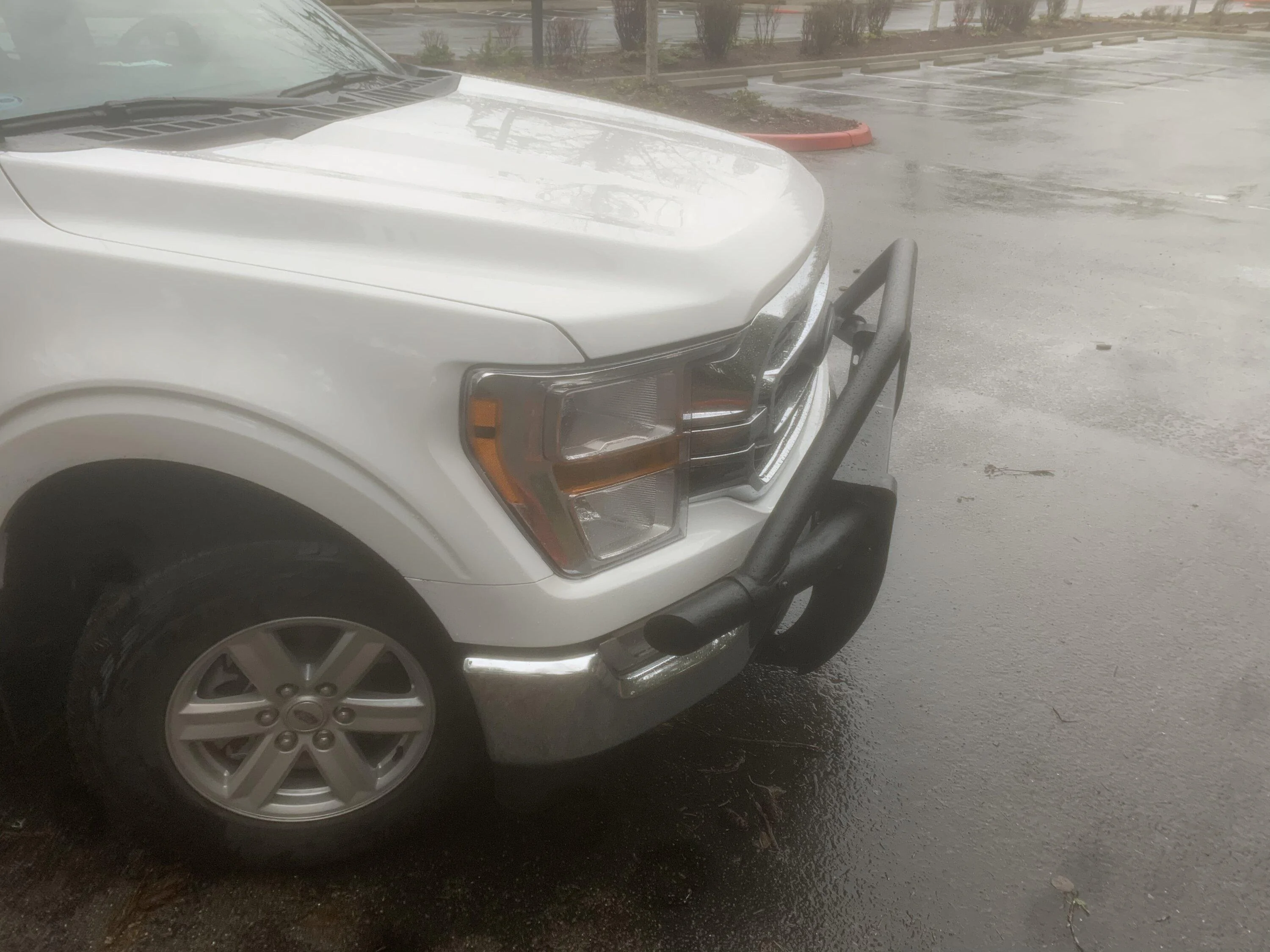 Ford F-150 Pre-Runner Brush Guard installed 1657306E-5ABD-43DF-9824-8D9231903B8B