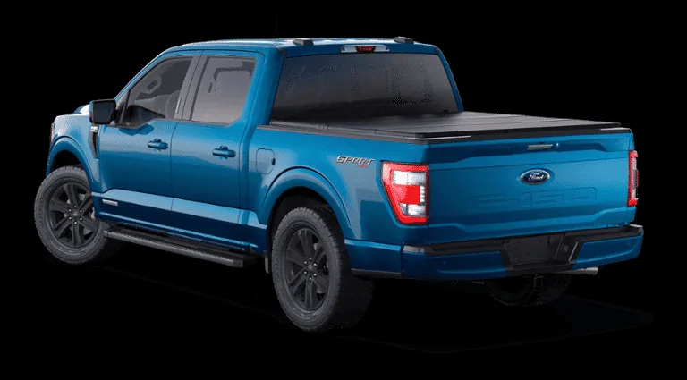 Ford F-150 Chip hold My22 & My23 1670733060887