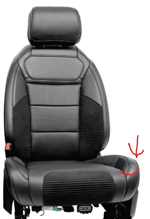 Ford F-150 Recaro Ergomed Seats 1683613407444