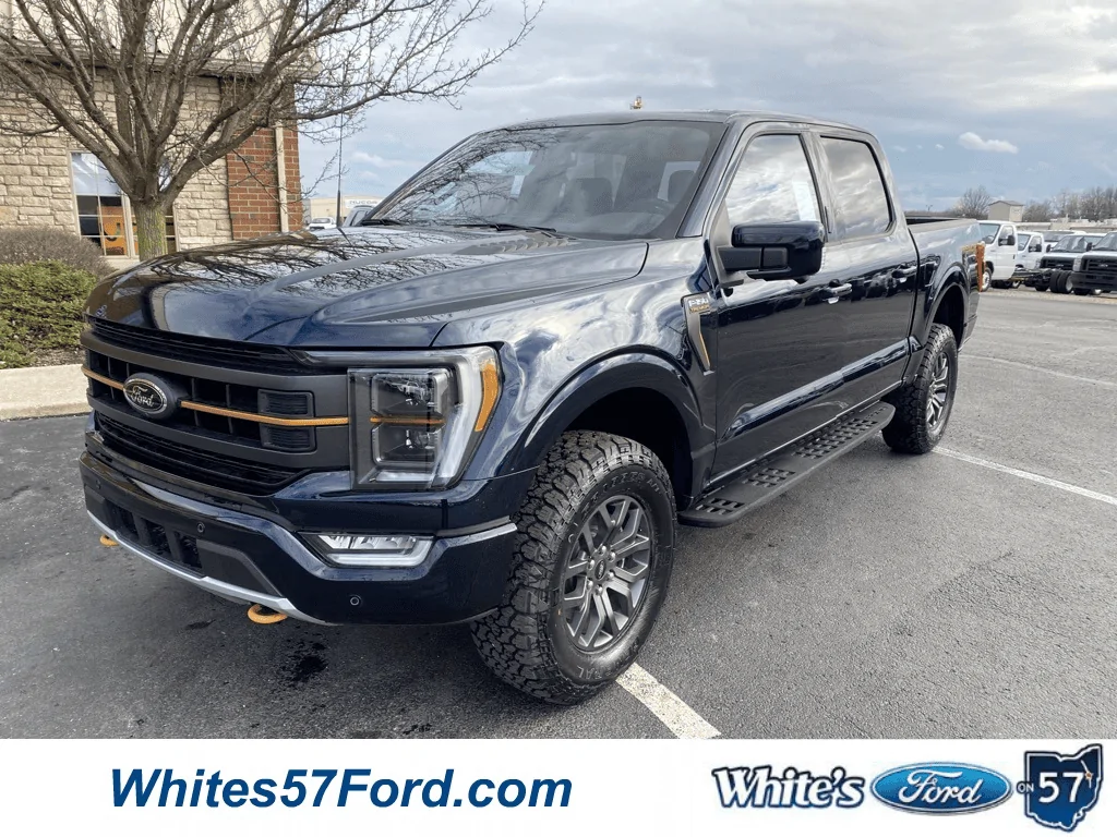 Ford F-150 Am I the only one that thinks Ford needs to improve front grill designs? 1688910842322