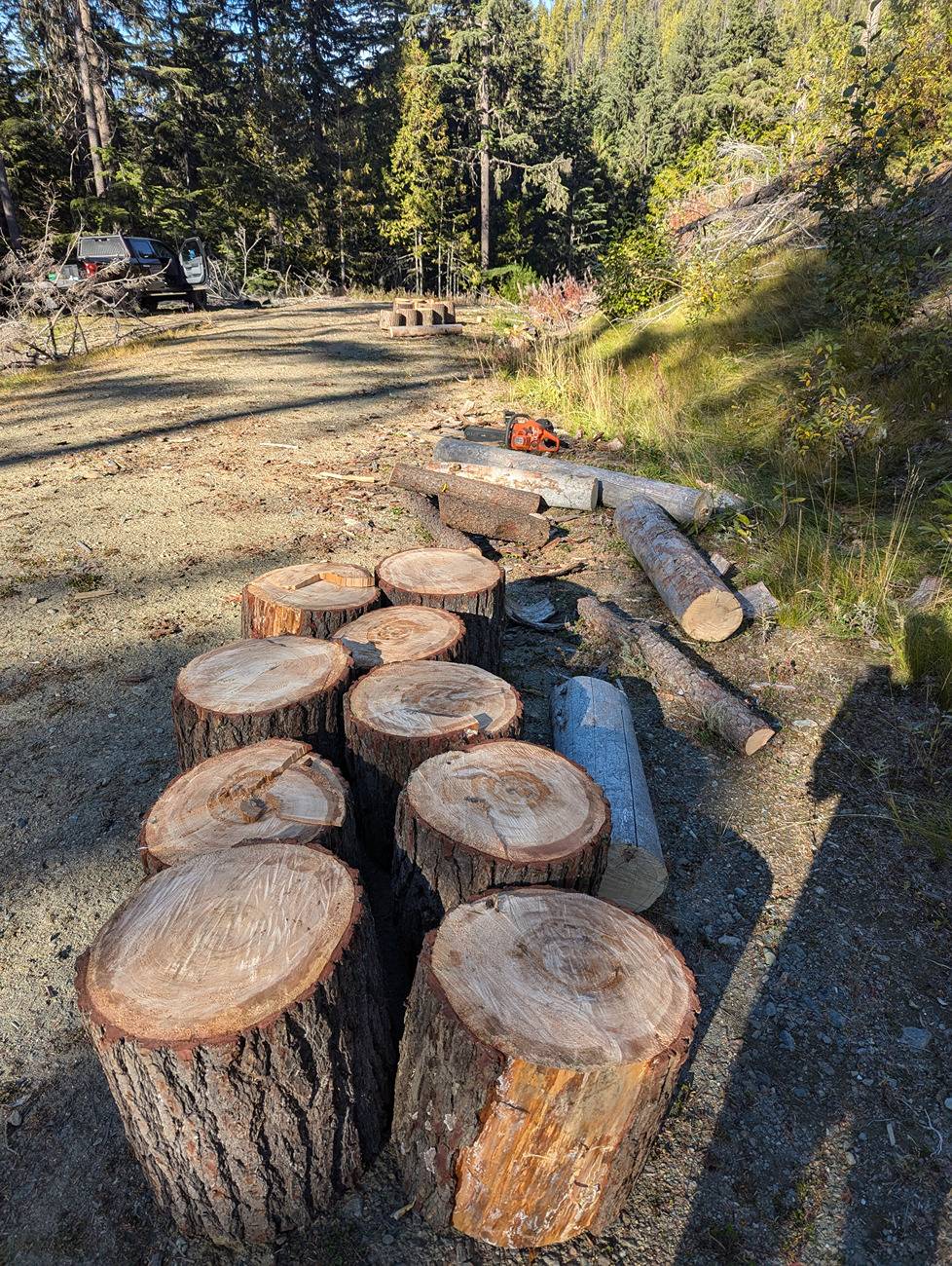 Ford F-150 Firewood gettin 16_1