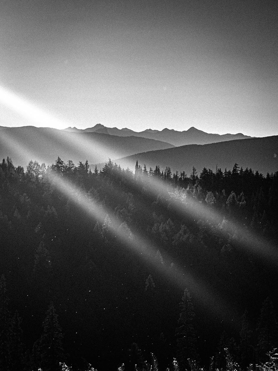 Ford F-150 Firewood gettin 16_2