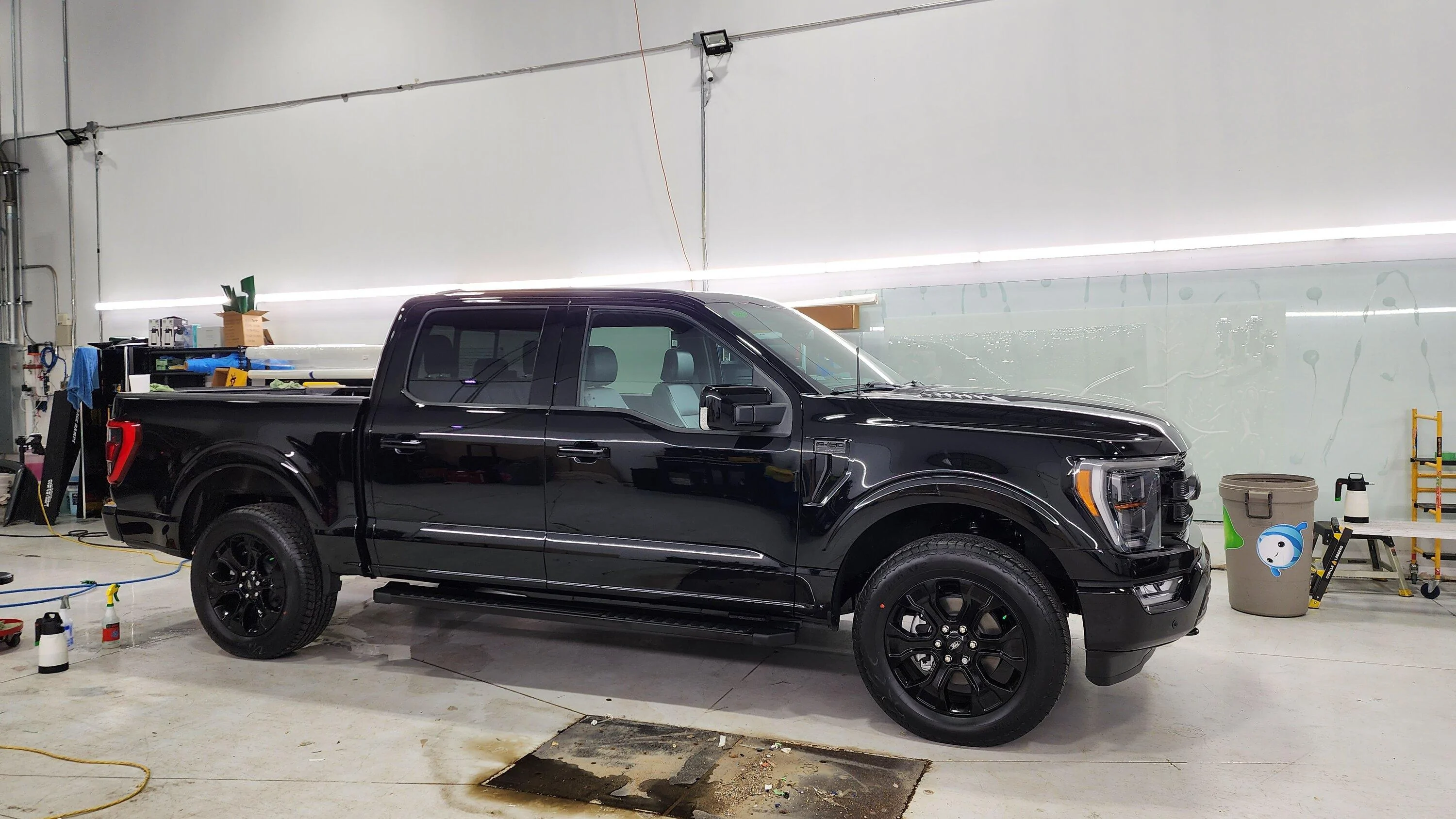 Ford F-150 Pulled the trigger 17003496853694674979000779741820