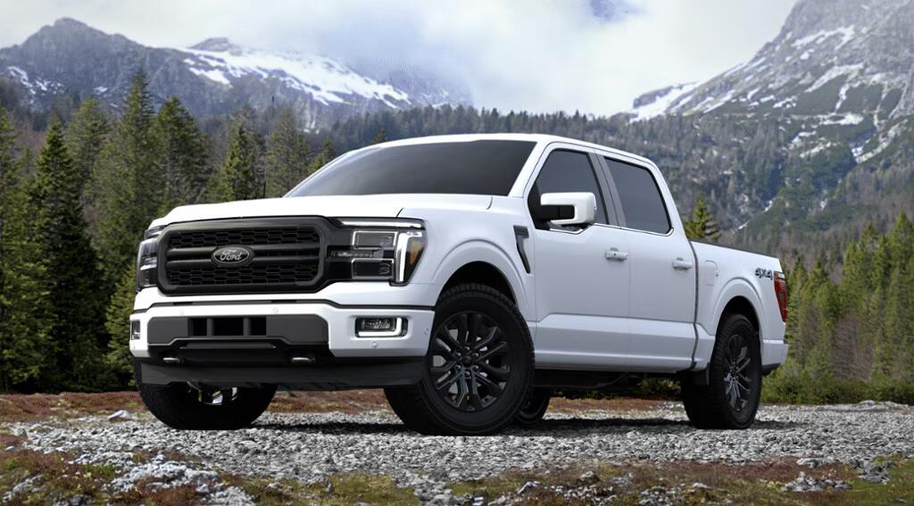 Ford F-150 Basic Betty Build 1722873652483-w