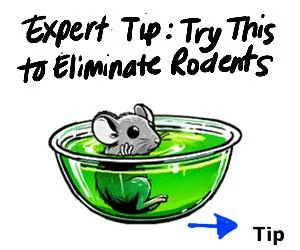 Ford F-150 Rubber dam between bed and cab 1724038064749-99