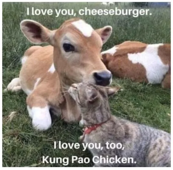 Ford F-150 A Joke & Memes thread 1733588006076-g