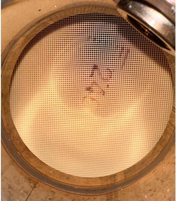 Ford F-150 High flow cats 1735574782389-61