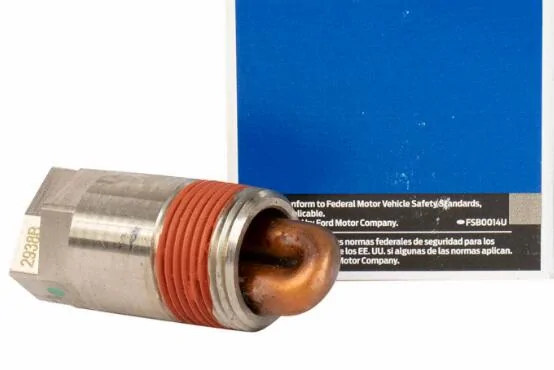 Ford F-150 Block heater on 5.0 1736955045267-bm