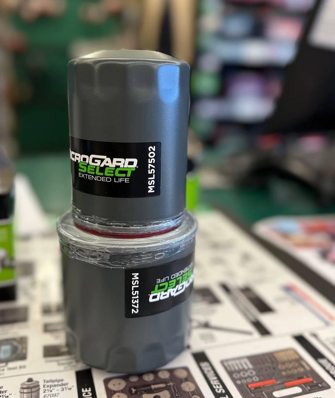 Ford F-150 Motorcraft Oil Filters 1746533291923-ex