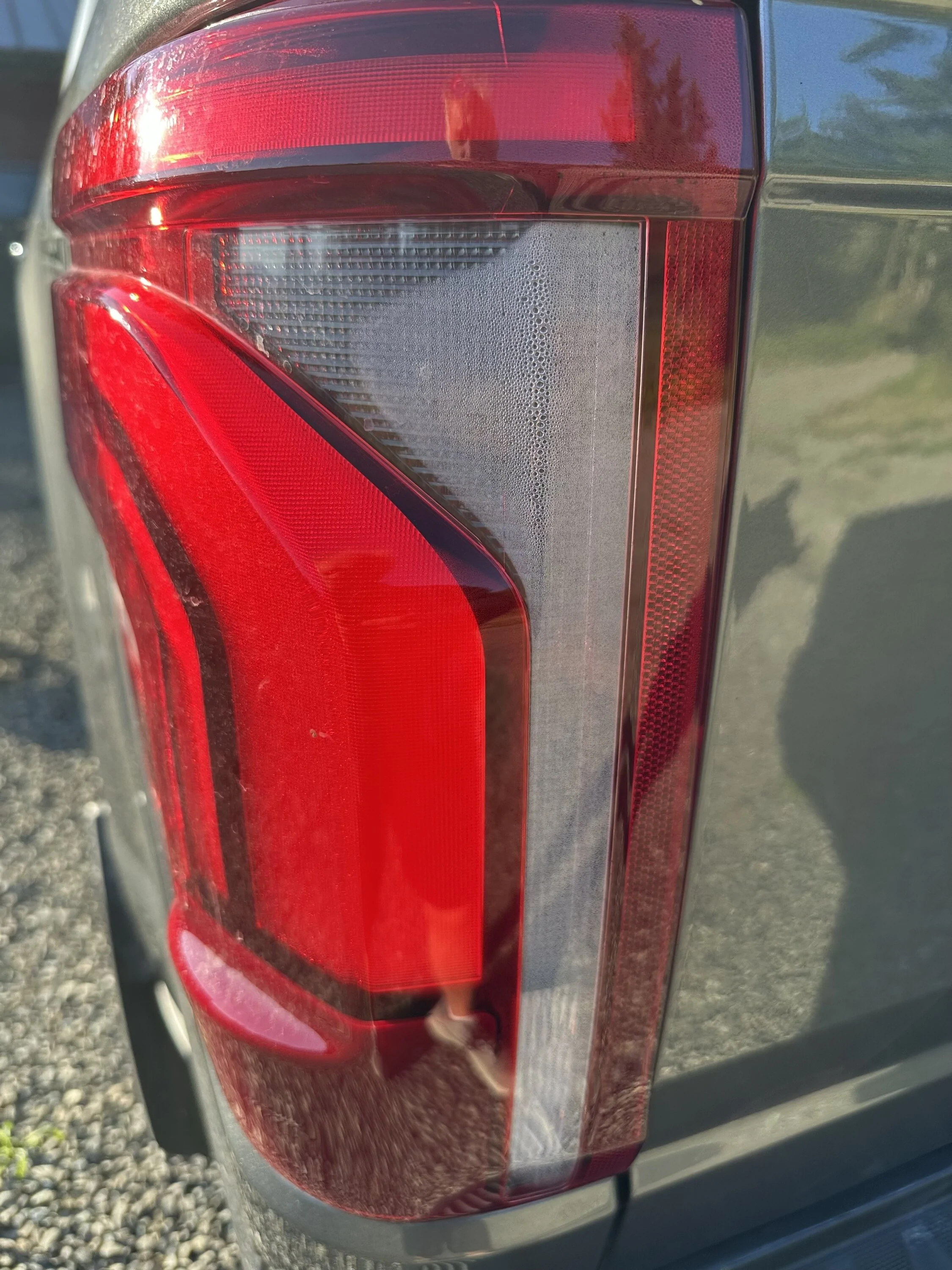Ford F-150 Condensation in the tailight 1753754970282-7f