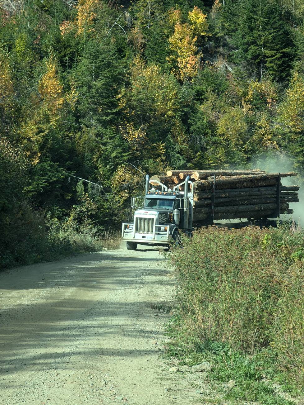 Ford F-150 Firewood gettin 18