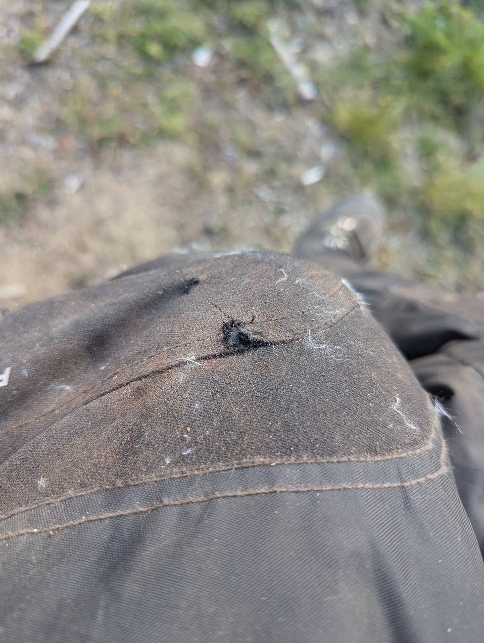 Ford F-150 Firewood gettin 19