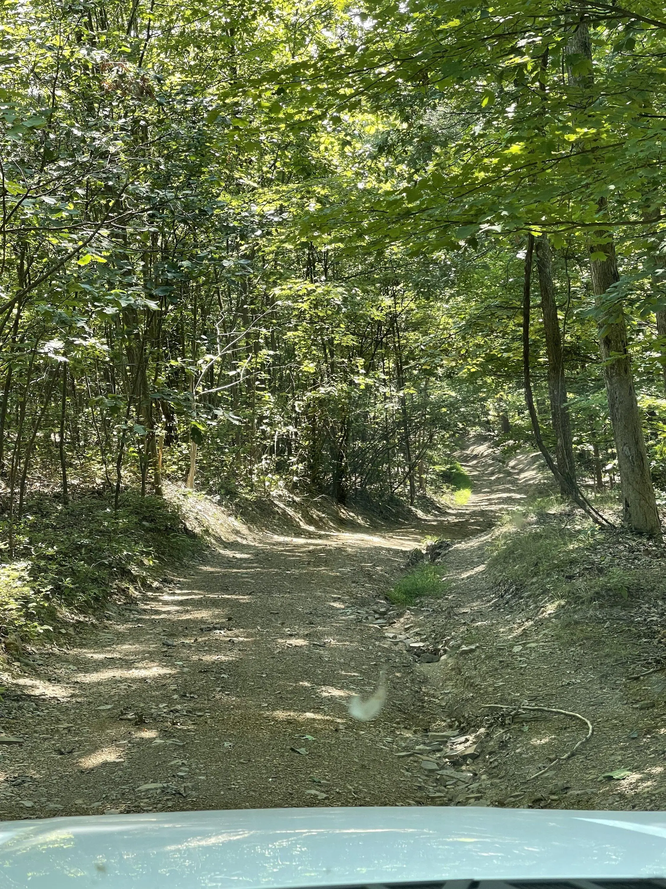 Ford F-150 What did you do WITH your F-150 today? 1D24B577-8846-4F3B-990D-26EA724A5B87