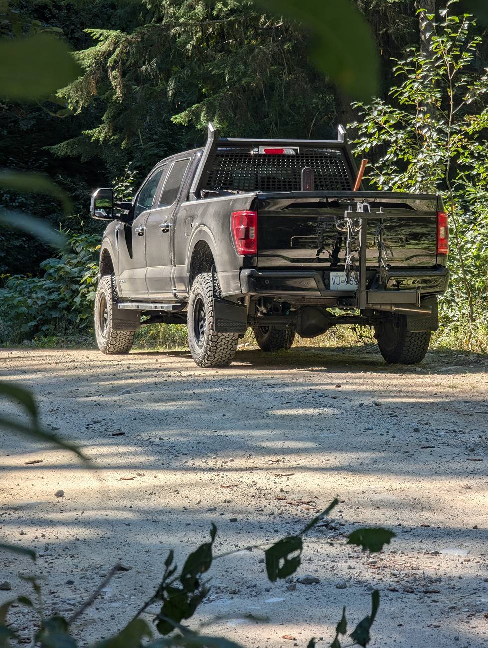 Ford F-150 Firewood gettin 2