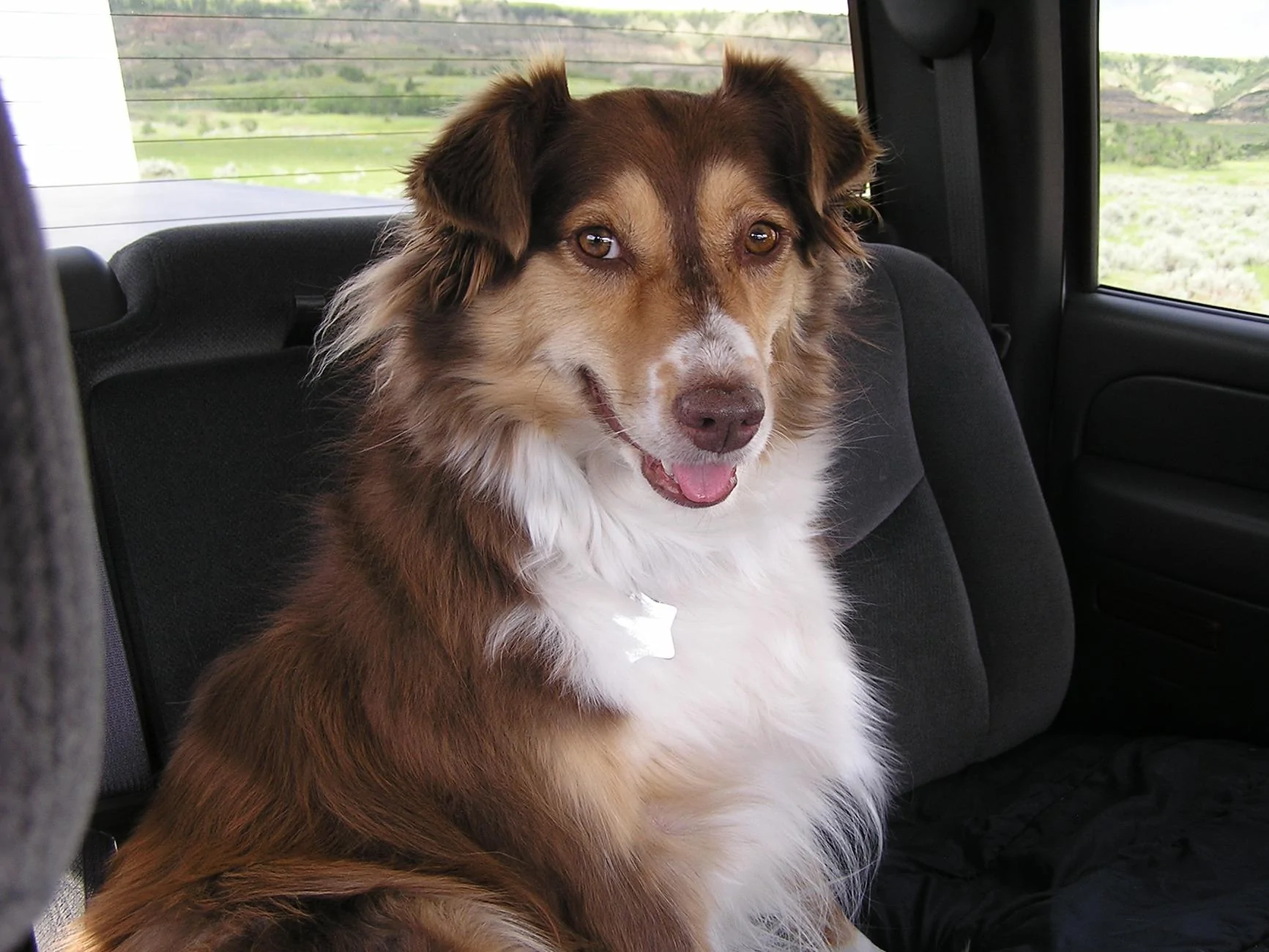 2010 Vacation 0132.JPG