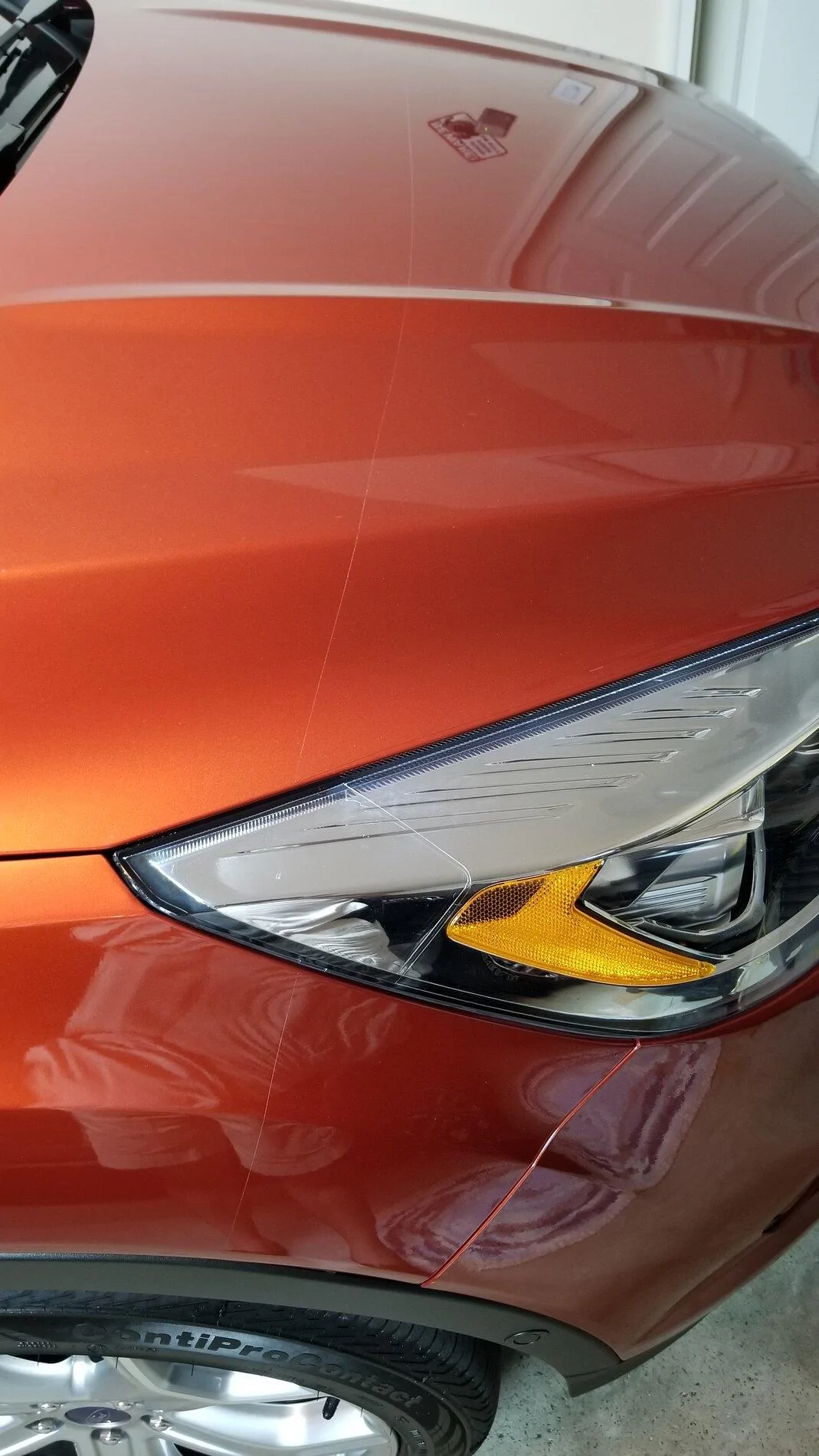 Ford F-150 Are clear bras worth it? 2019 Escape PPF