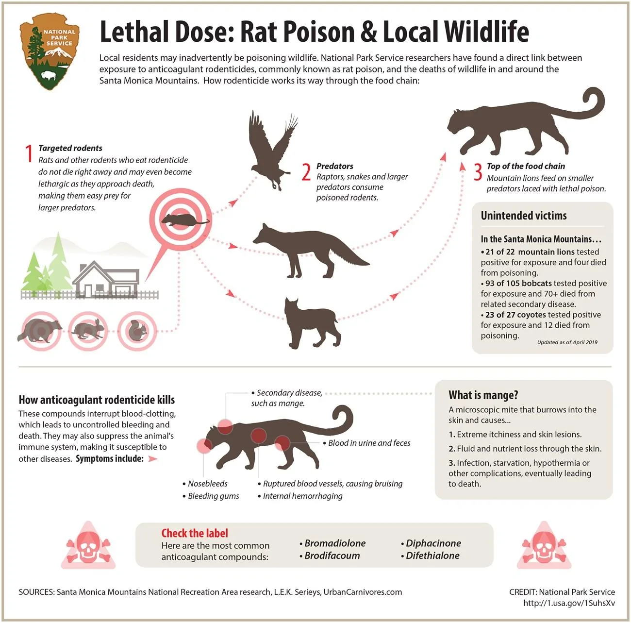 Ford F-150 Rats in a new Powerboost 2019_Rodenticide_Infographic_2