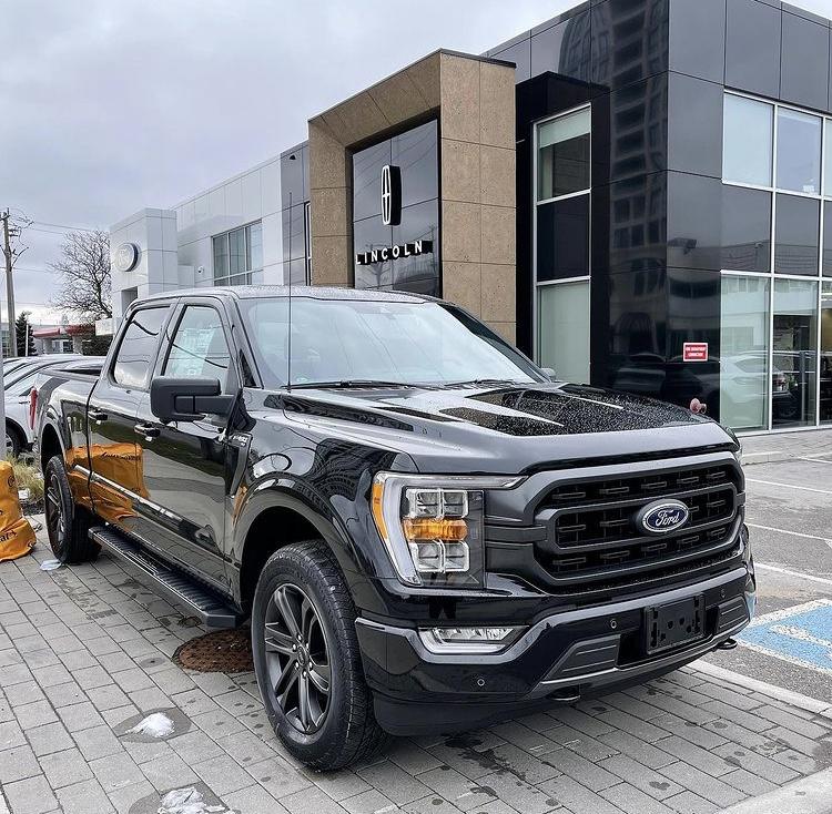 Ford F-150 AGATE BLACK F-150 (2021+) Club 2021 F-150 Agate Black XLT Sport 1