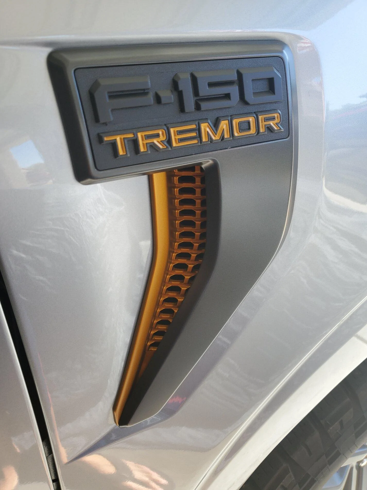 Ford F-150 Black Ford Emblems / Logos? 20211031_101404