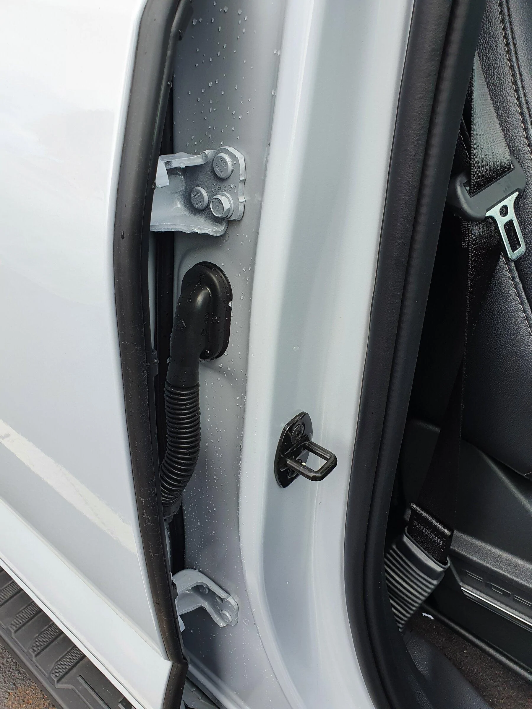 Ford F-150 Is this normal (water between the doors)? 20220312_115623