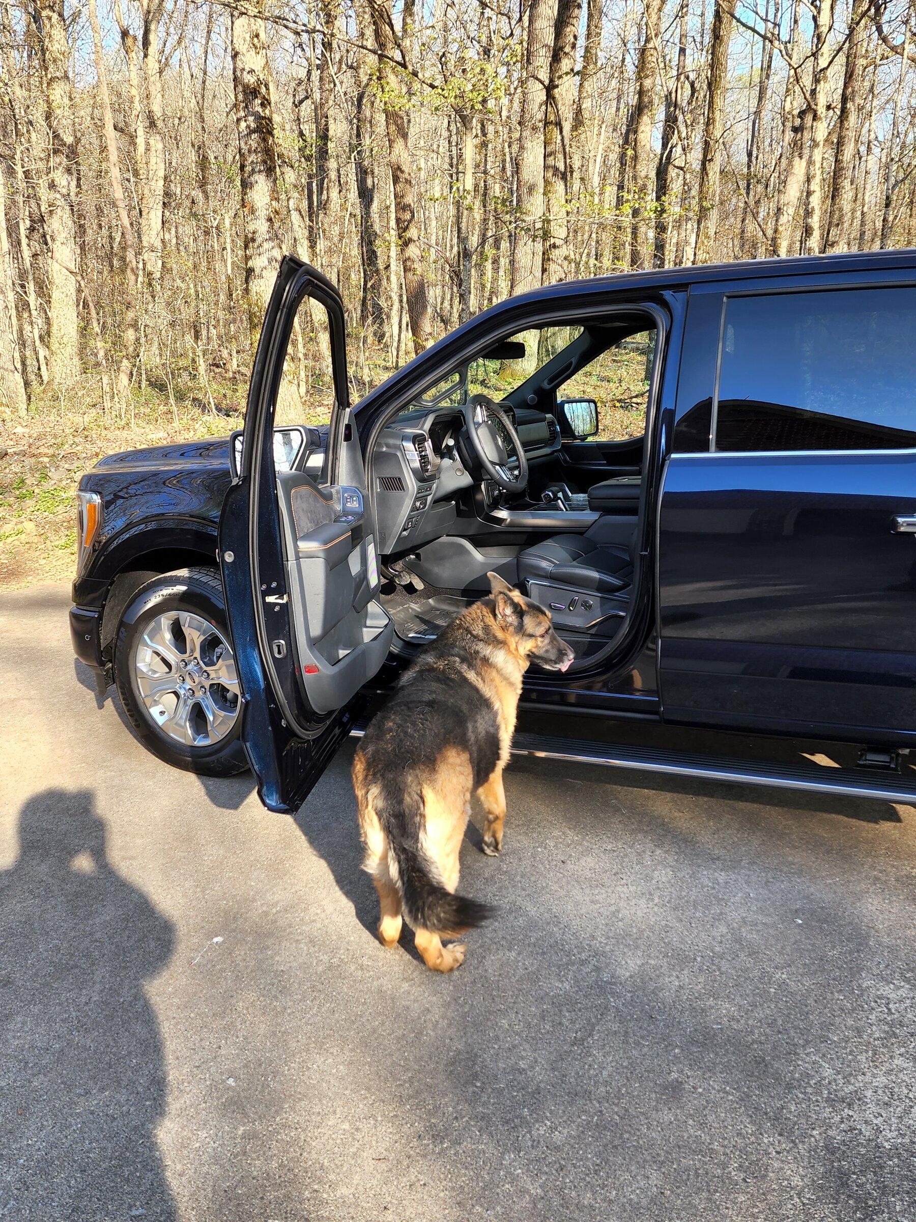 Ford F-150 01/10/22 Build Week Club 20220422_183222