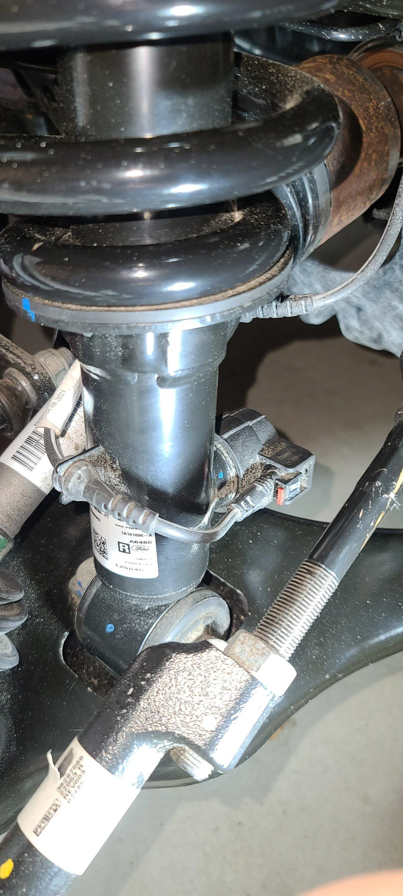 Ford F-150 Adaptive Head Lights - Coming to the US??? 20220430_105919