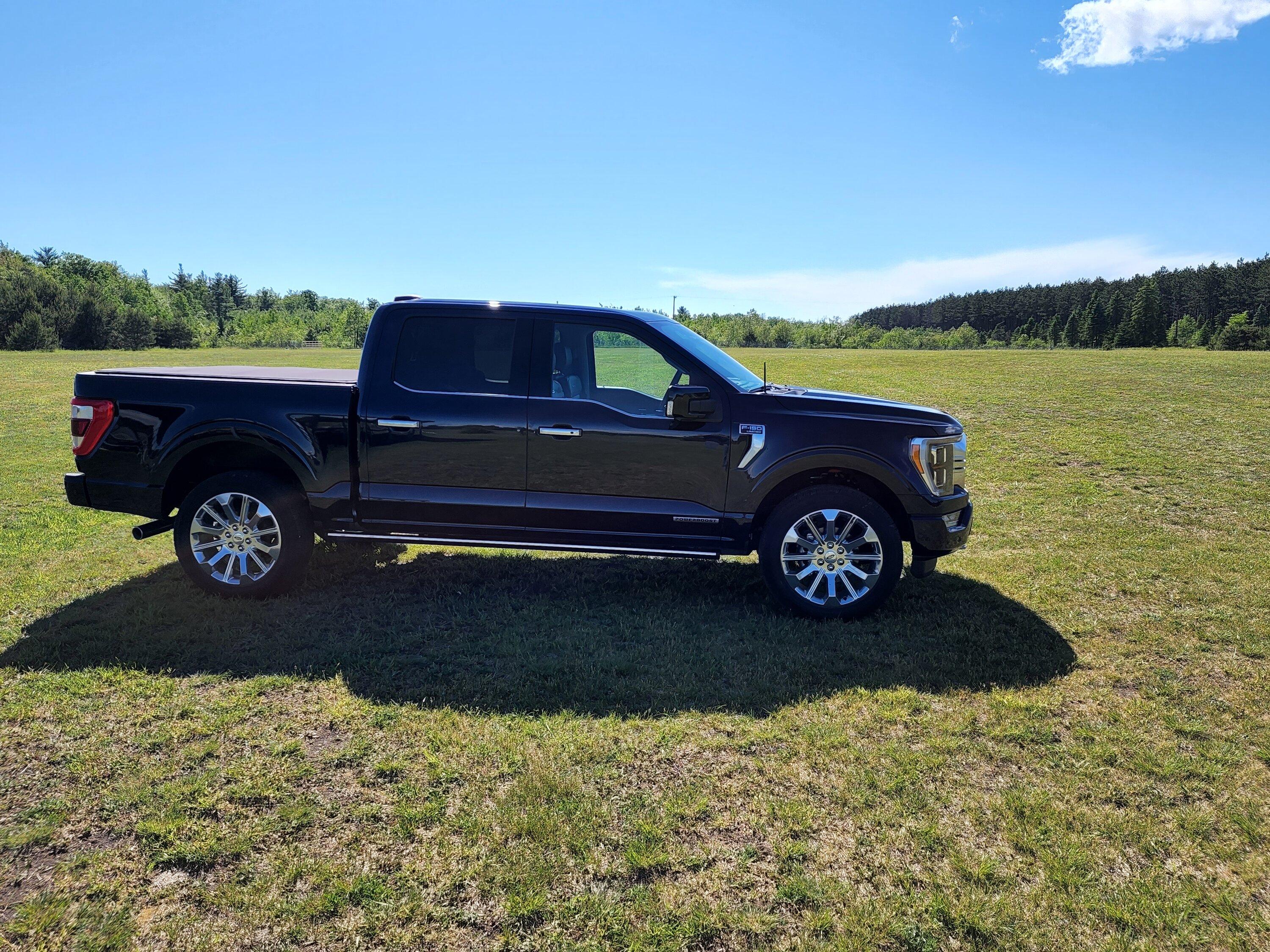 Ford F-150 F150 Limited, what's your build number and color of truck? 20220609_170449