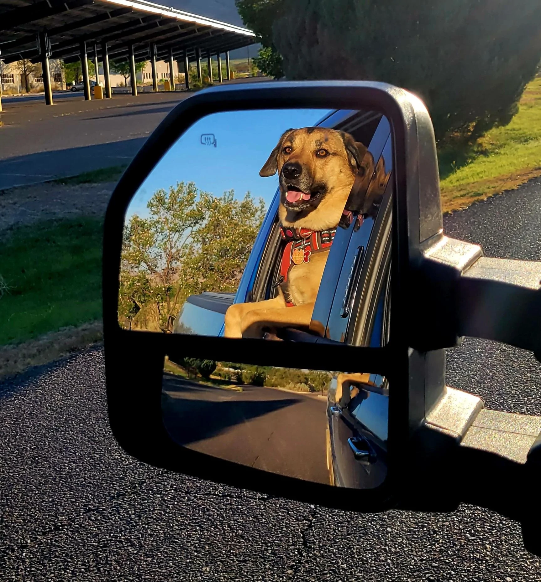 Ford F-150 4 Legged Photo Request - in Memoriam of Tank 20220615_192240
