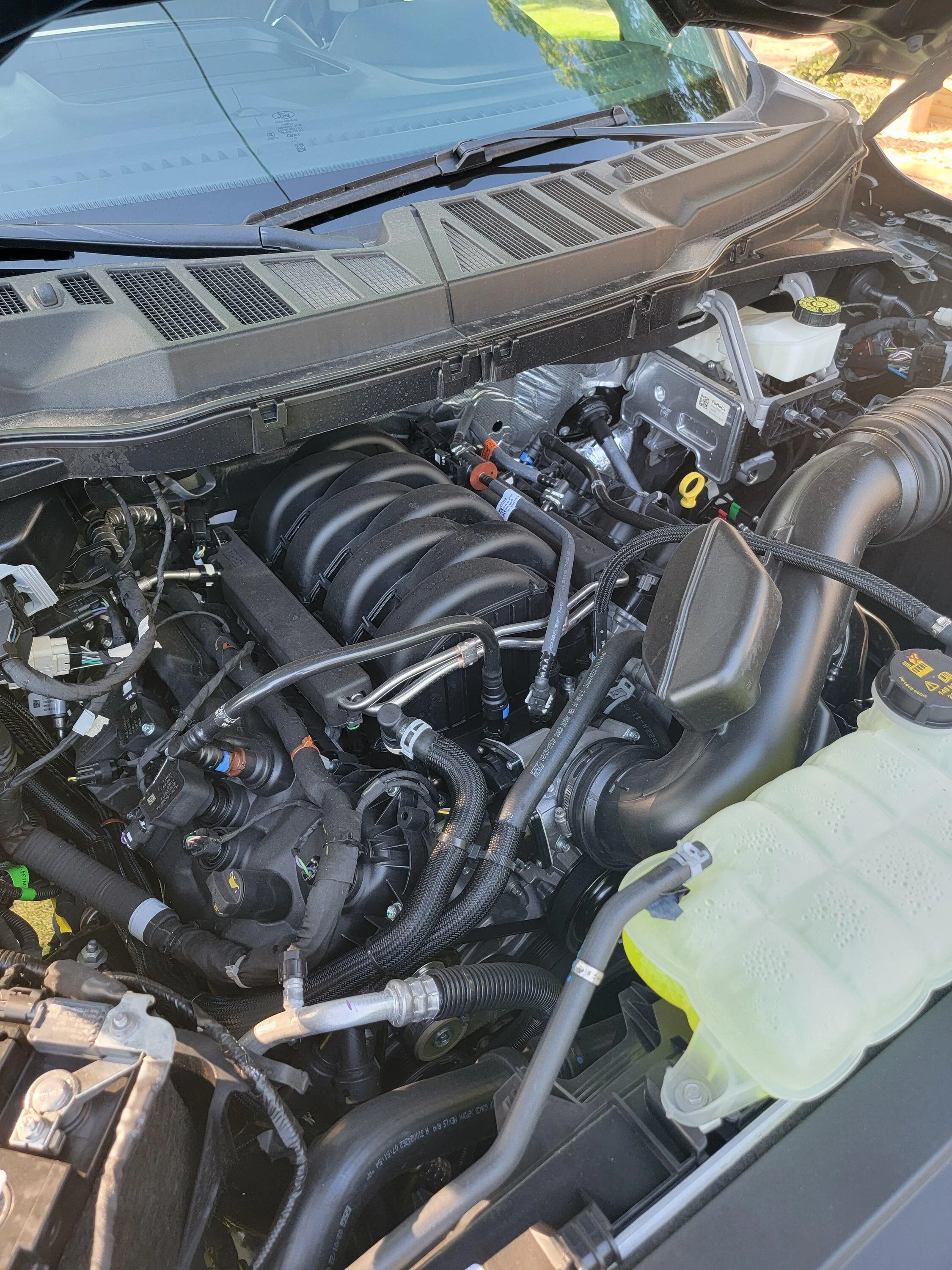 Ford F-150 Ford Thunder by Steeda 20220618_173457