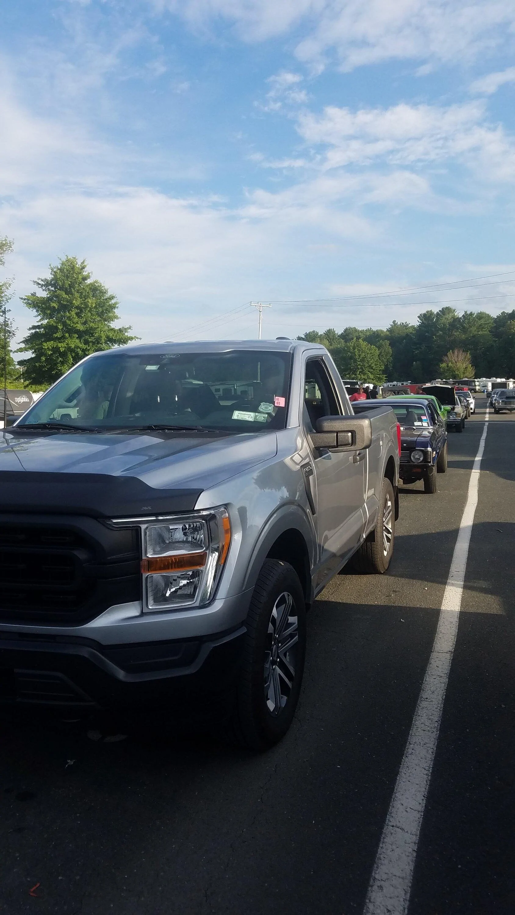 Ford F-150 Hood rock/bug guard on lighter colors? 20220727_184119