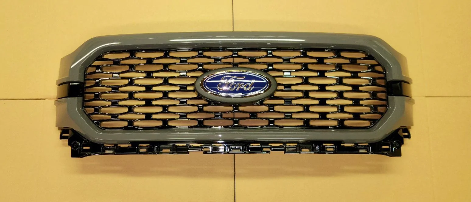 Ford F-150 2021-2022 Ford F-150 STX Grille 20221006_224608