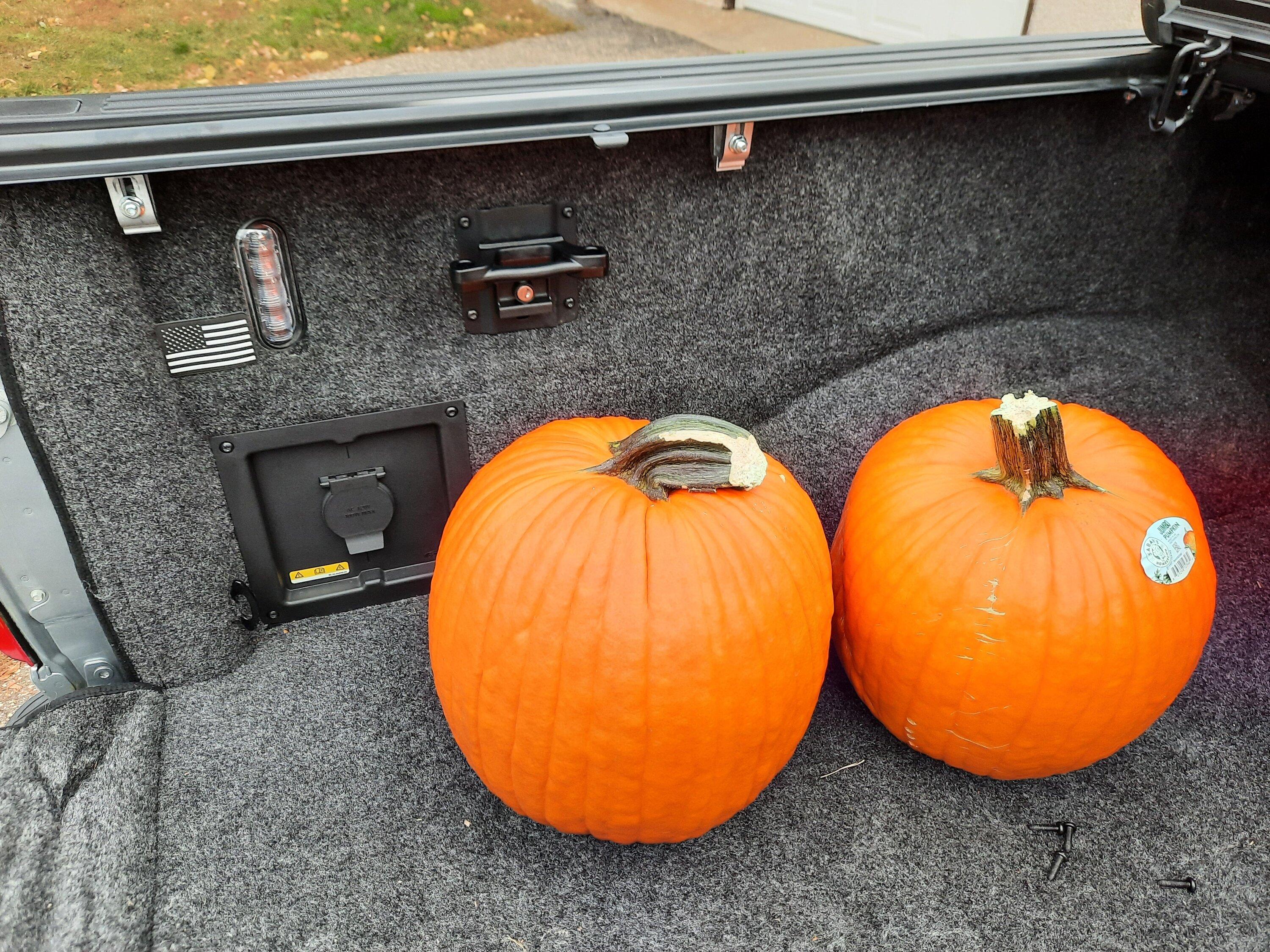 Ford F-150 Bed Rug - Tailgate Work Surface Install? 20221016_171909